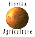 Florida agriculture
