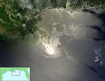 oil spill