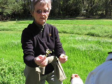 organic farming in Florida